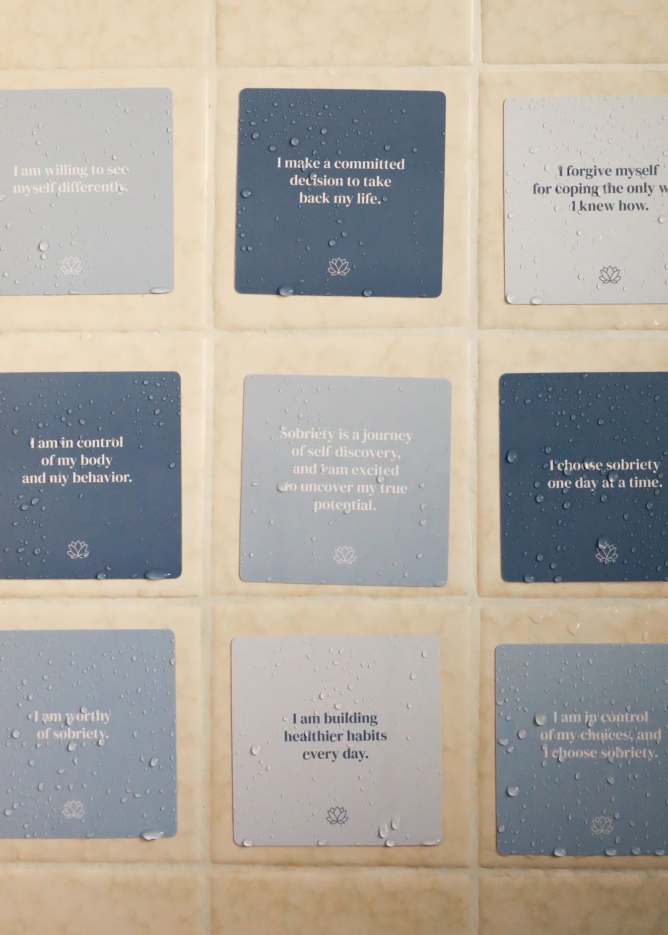 Sobriety Shower Affirmations™ 2